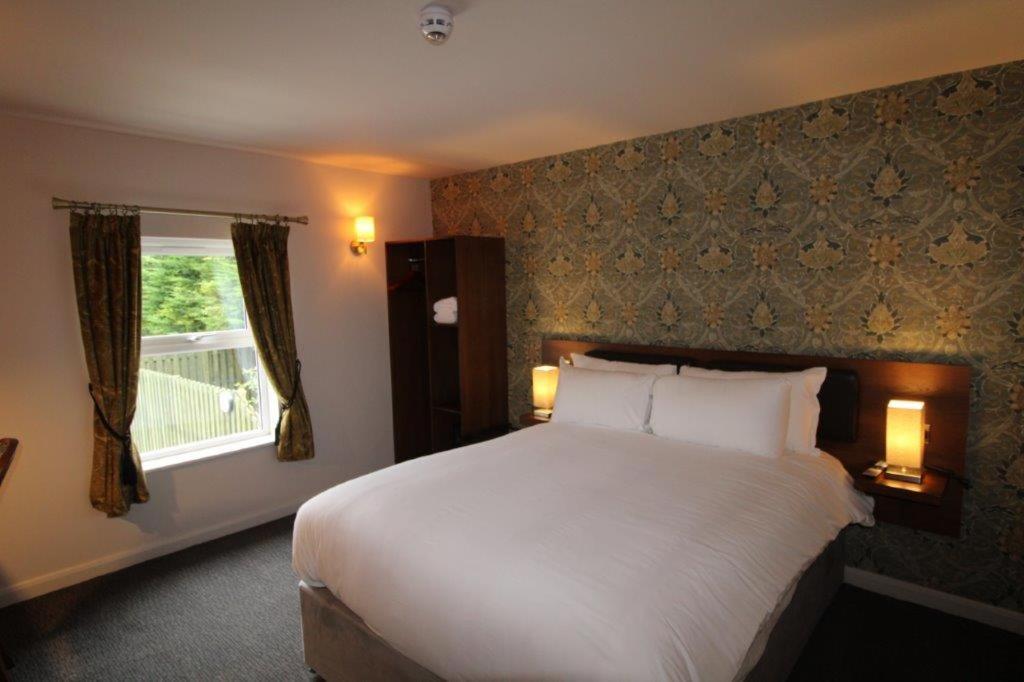 Rooms @ The Dolau Inn New Quay  Ngoại thất bức ảnh